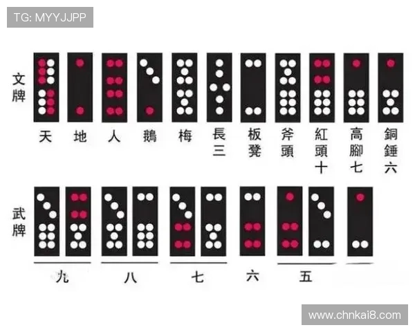 抢庄牌九的历史发展与现代玩法全面解析